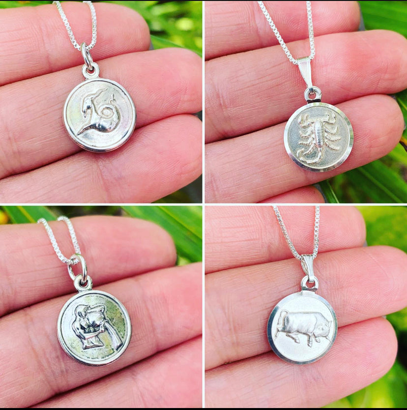 Silver .925 Zodiac Necklace. Cadena y Colgante de Plata .925 del Zodiaco.